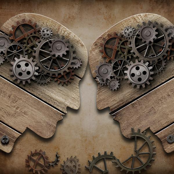 image cerveau bois metal tete